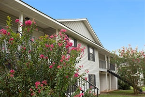 Property Thumbnail